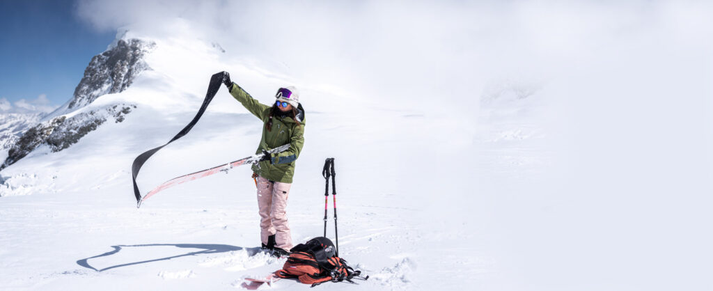 Foki skiturowe Majesty