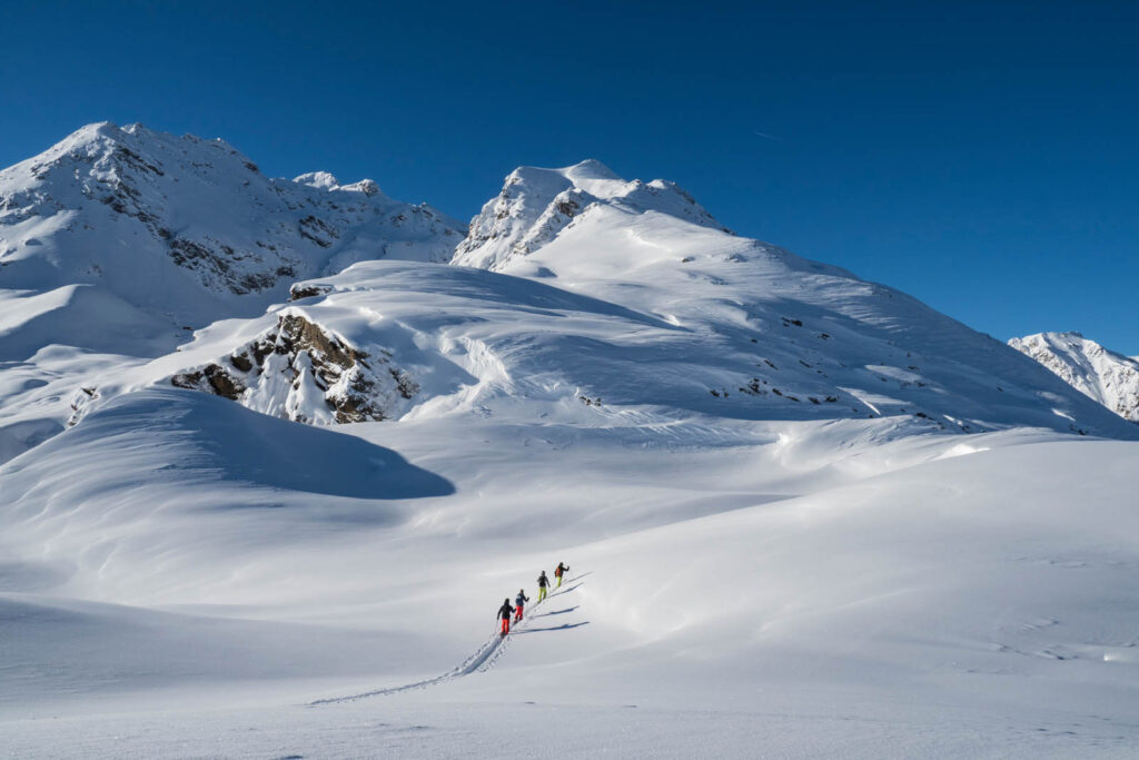 Narty skiturowe MAJESTY Superwolf Carbon podczas skialpinizmu