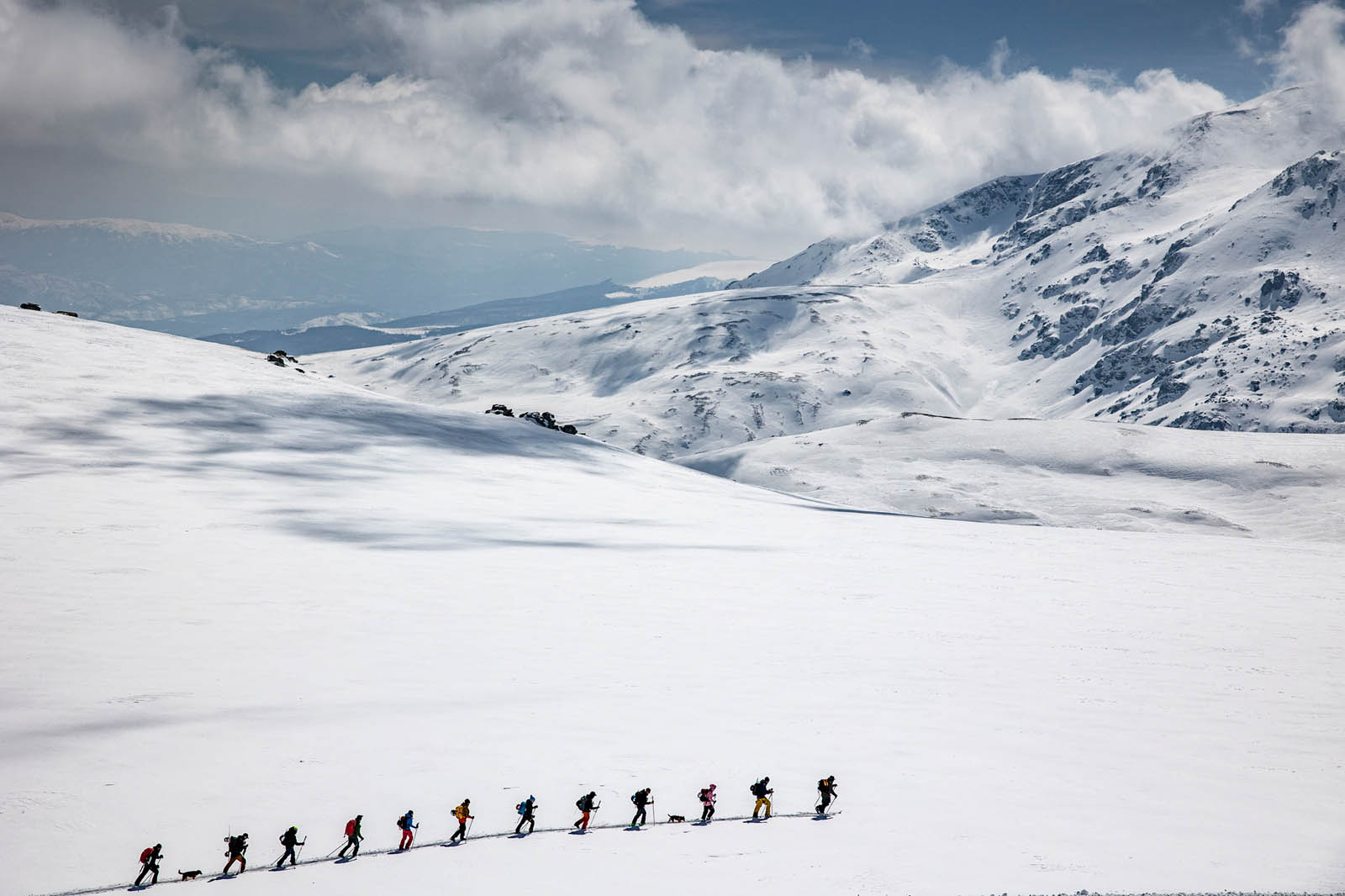 Narty skiturowe MAJESTY Superscout Carbon podczas ski-mountaineeringu
