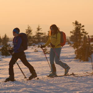 Narty skiturowe dla początkujących MAJESTY